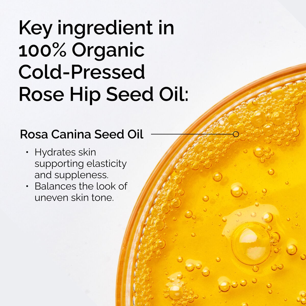 100-organic-cold-pressed-rose-hip-seed-oil-r0 FY25-D41247-ORD-Web-PDP-100-Rose-Hip-Oil-1x1-EN-2.jpg
