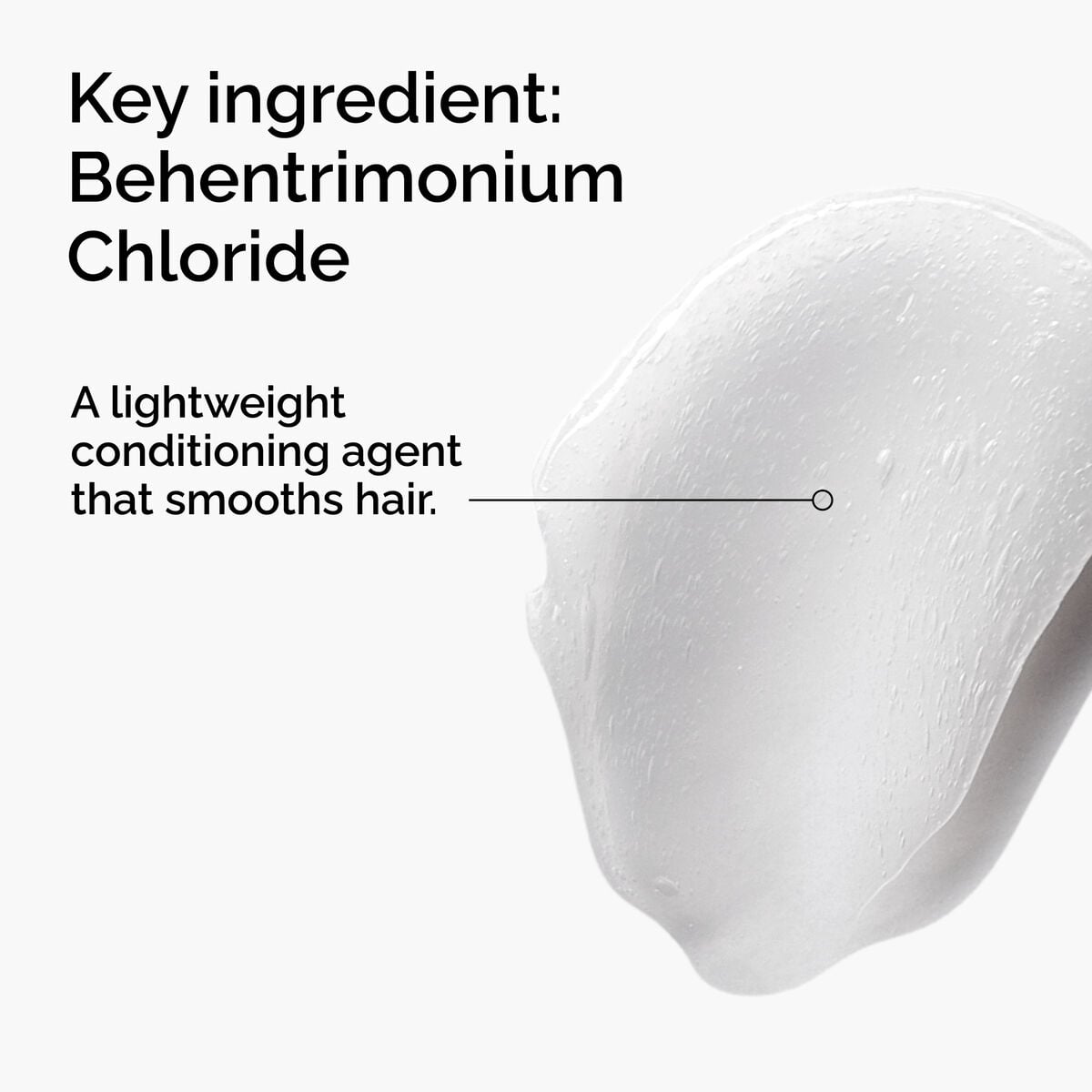 behentrimonium-chloride-2-conditioner-u2 FY25-D41247-ORD-Web-PDP-BTC-1x1-EN-2a.jpg