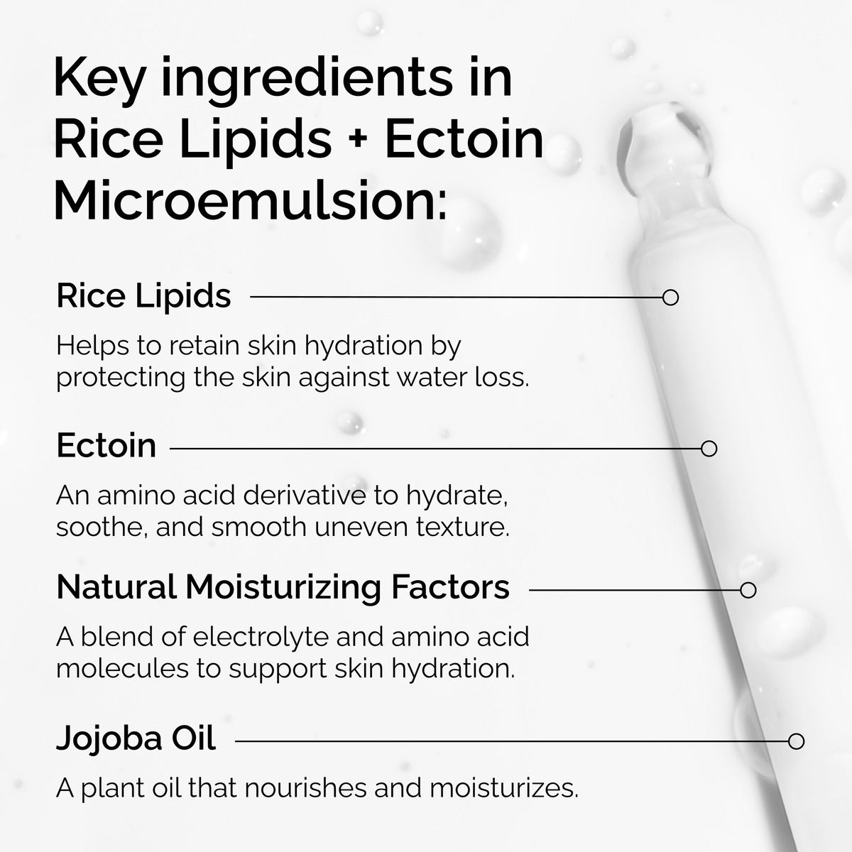 rice-lipids-ectoin-microemulsion-q8 ord-rice-lipids-ectoin-microemulsion-key-ingredients.png