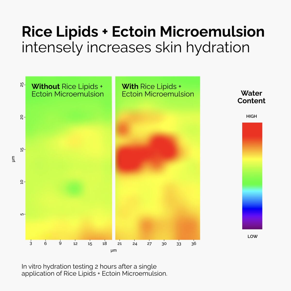 rice-lipids-ectoin-microemulsion-q8 ord-rice-lipids-ectoin-microemulsion-thermal-before-after.jpg